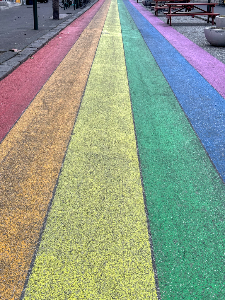 La célèbre rue Skolavoerdustigur alias la rue « arc-en-ciel », Voyage en van