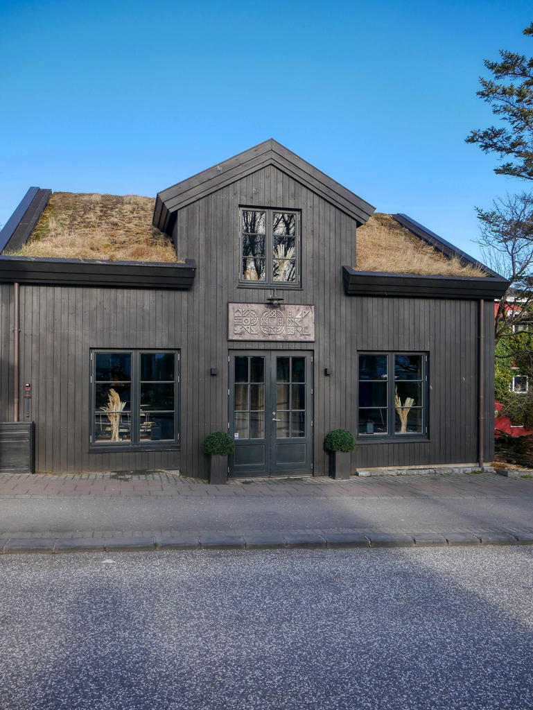 Devanture à Reykjavik, Voyage en van