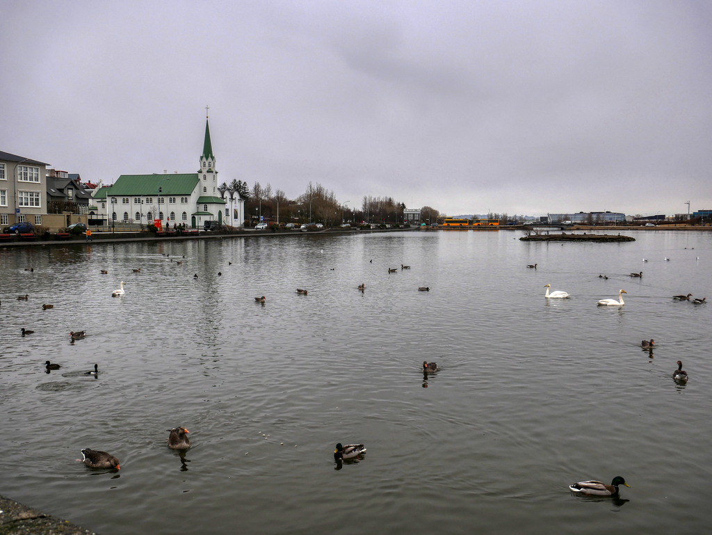 Reykjavik, Voyage en van