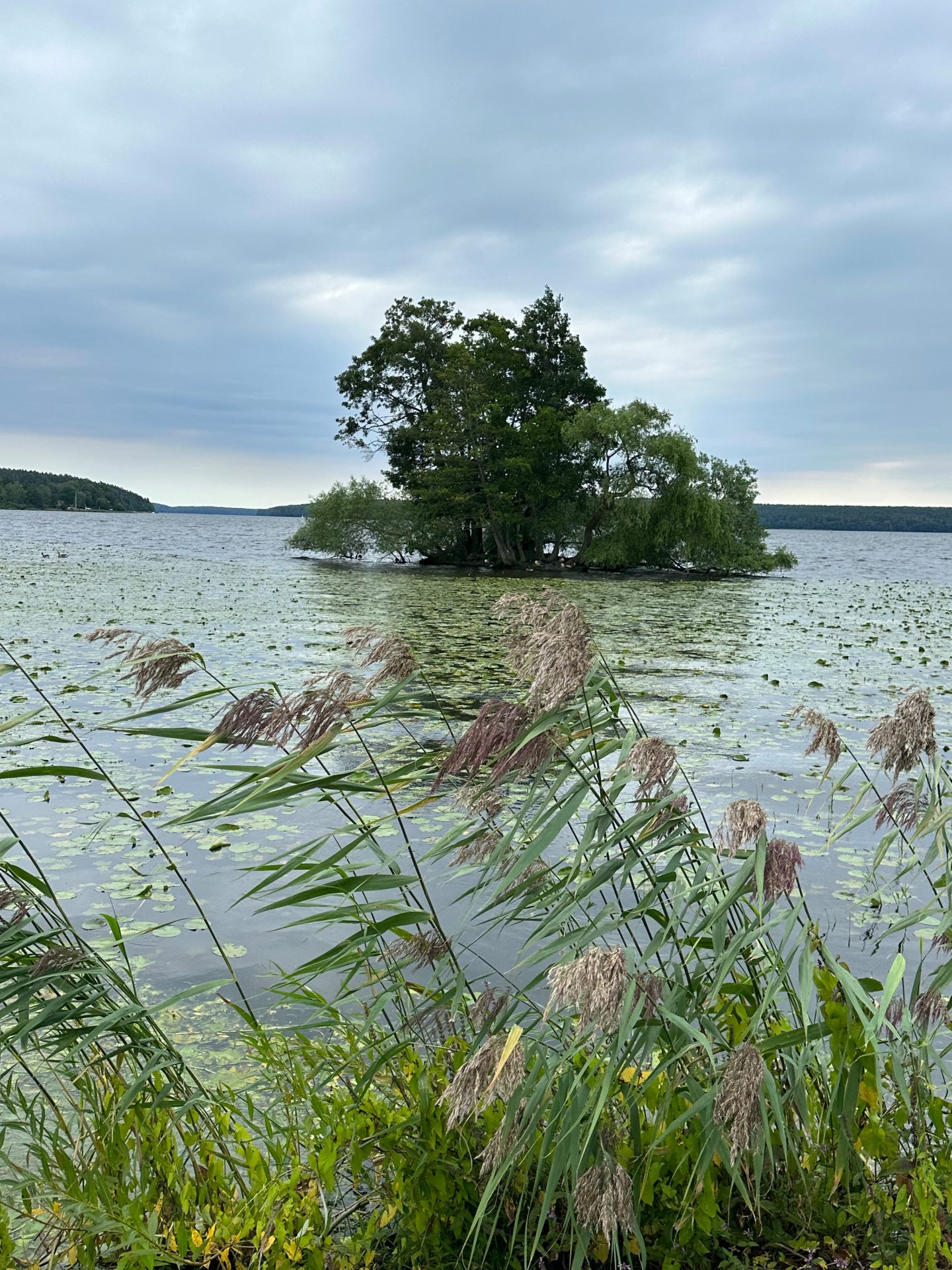 Sigtuna, plus ancienne ville de Suède