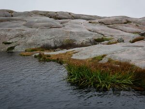 La côte du Bohuslän 