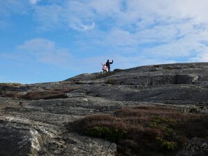 La côte du Bohuslän 