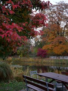 Sud de la Suède en famille