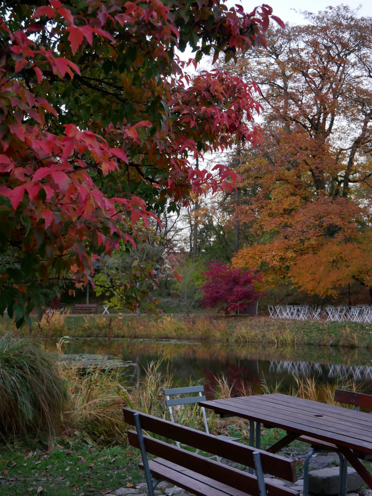 Sud de la Suède en famille