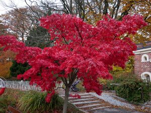 Sud de la Suède en famille