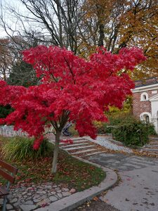 Sud de la Suède en famille