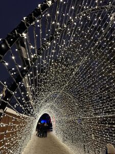 Marchés de Noël de Stockholm