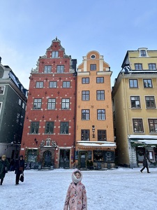 Marchés de Noël de Stockholm