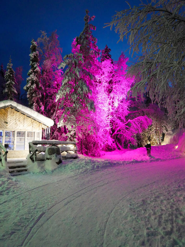 Tonttula Elves Village