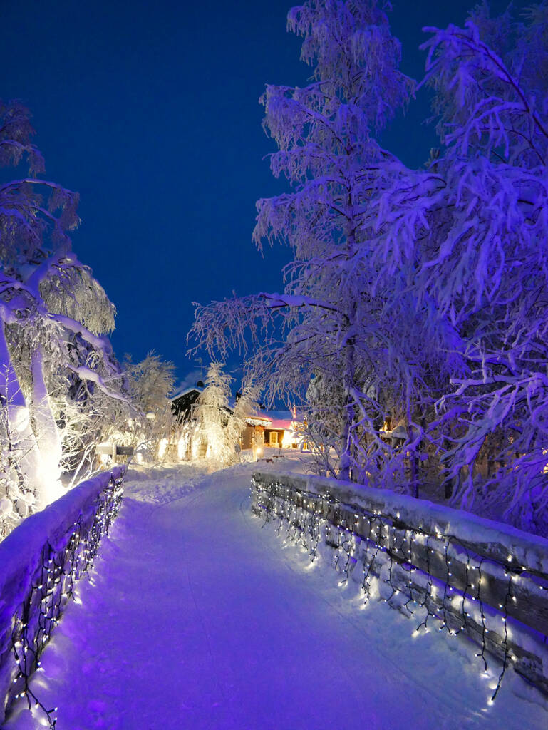 Tonttula Elves Village