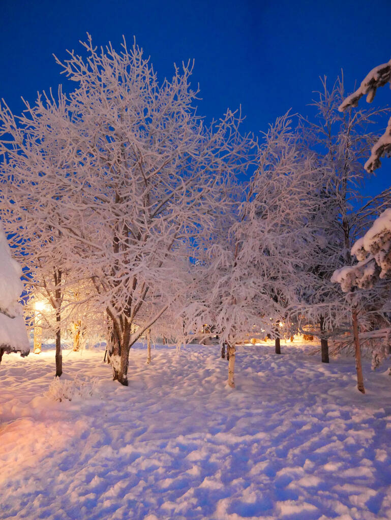 Tonttula Elves Village