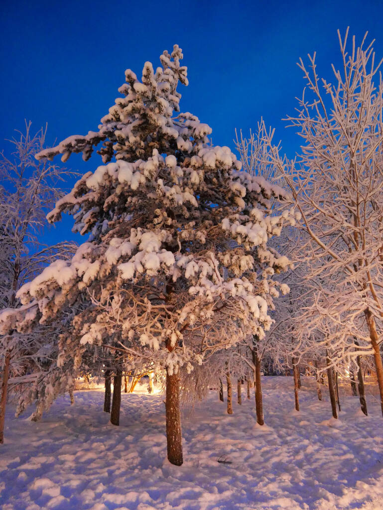 Tonttula Elves Village