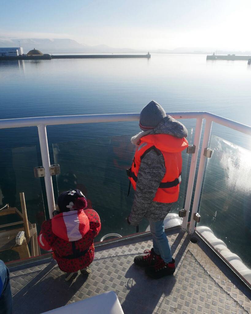 visiter à Reykjavik