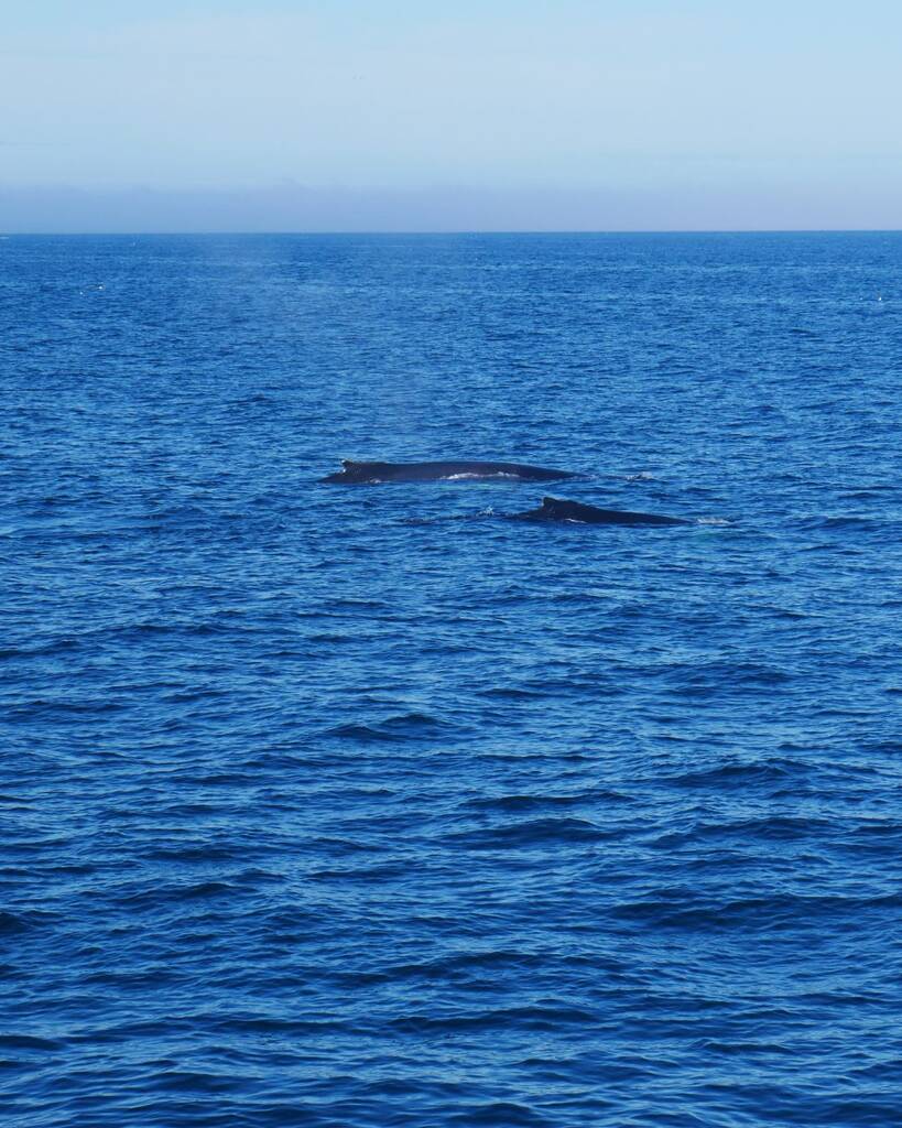 visiter à Reykjavik