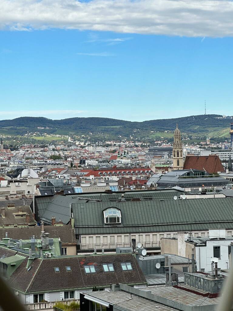 Vienne en 3 jours