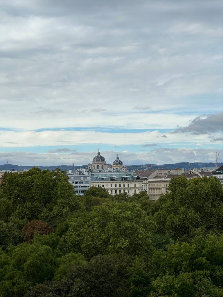 Vienne en 3 jours
