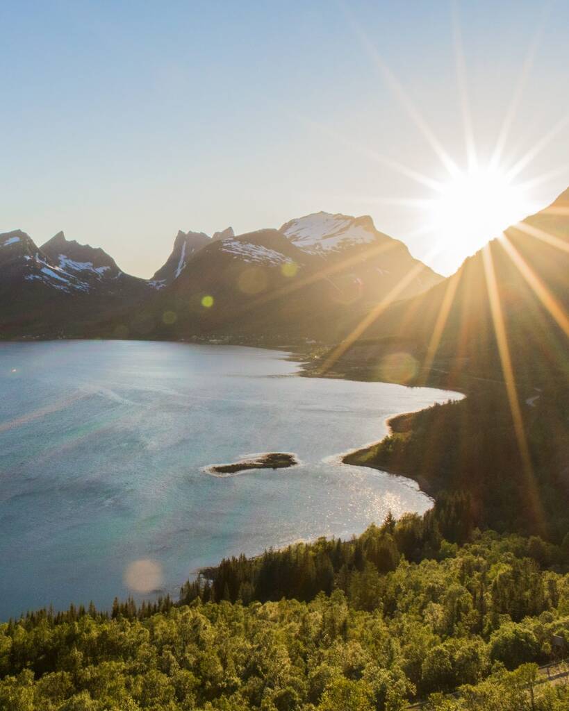 Croisière dans les fjords