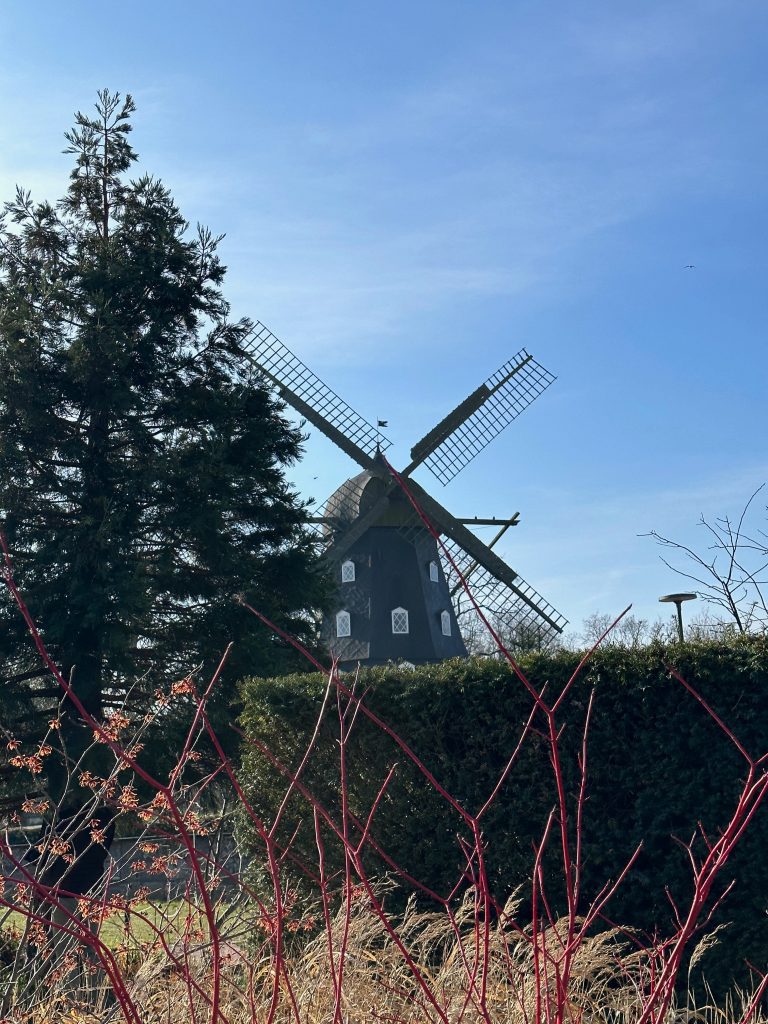 Visiter Malmö en 2 jours